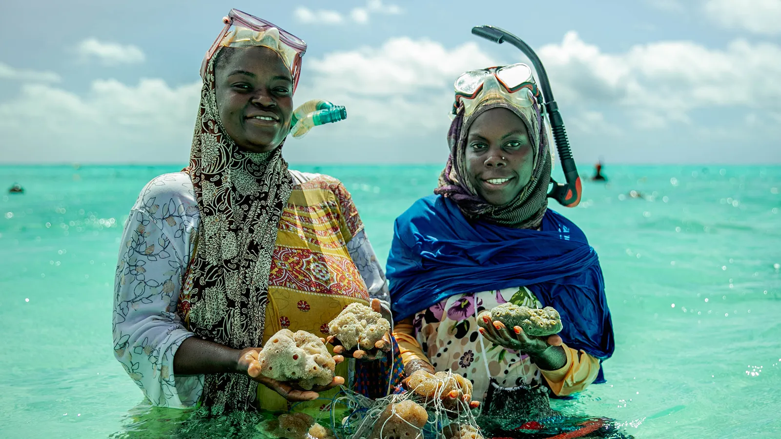 Read more about the article Sea sponges offer lifeline to women in Zanzibar